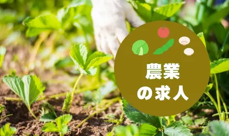 農業の求人特集